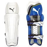 Wicket Keeping Pads